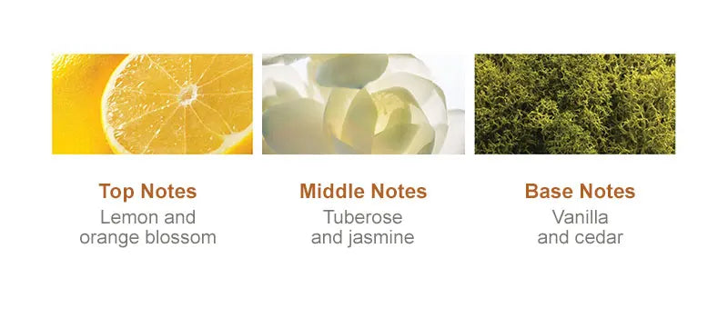 PURC Moroccan Argan Hair Care Set