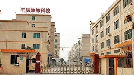 Disposable Eyelash & Mascara Brushes (50/100pcs)